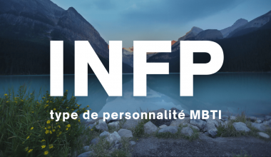 INFP MBTI type de personnalité en français description 16 types