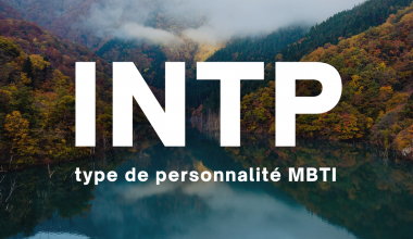 INTP MBTI type de personnalité en français description 16 types