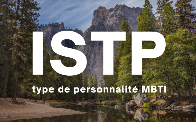 ISTP MBTI type de personnalité en français description 16 types